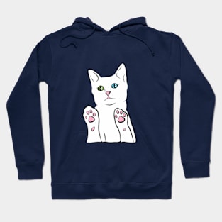 Cutest cat ever Hoodie